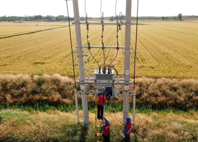 配電箱助力“電力?！报D農(nóng)民有了“電力?！碑a(chǎn)業(yè)發(fā)展質(zhì)效